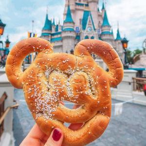Disney Dining & Snack Fund
