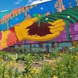 El Paseo Community Garden