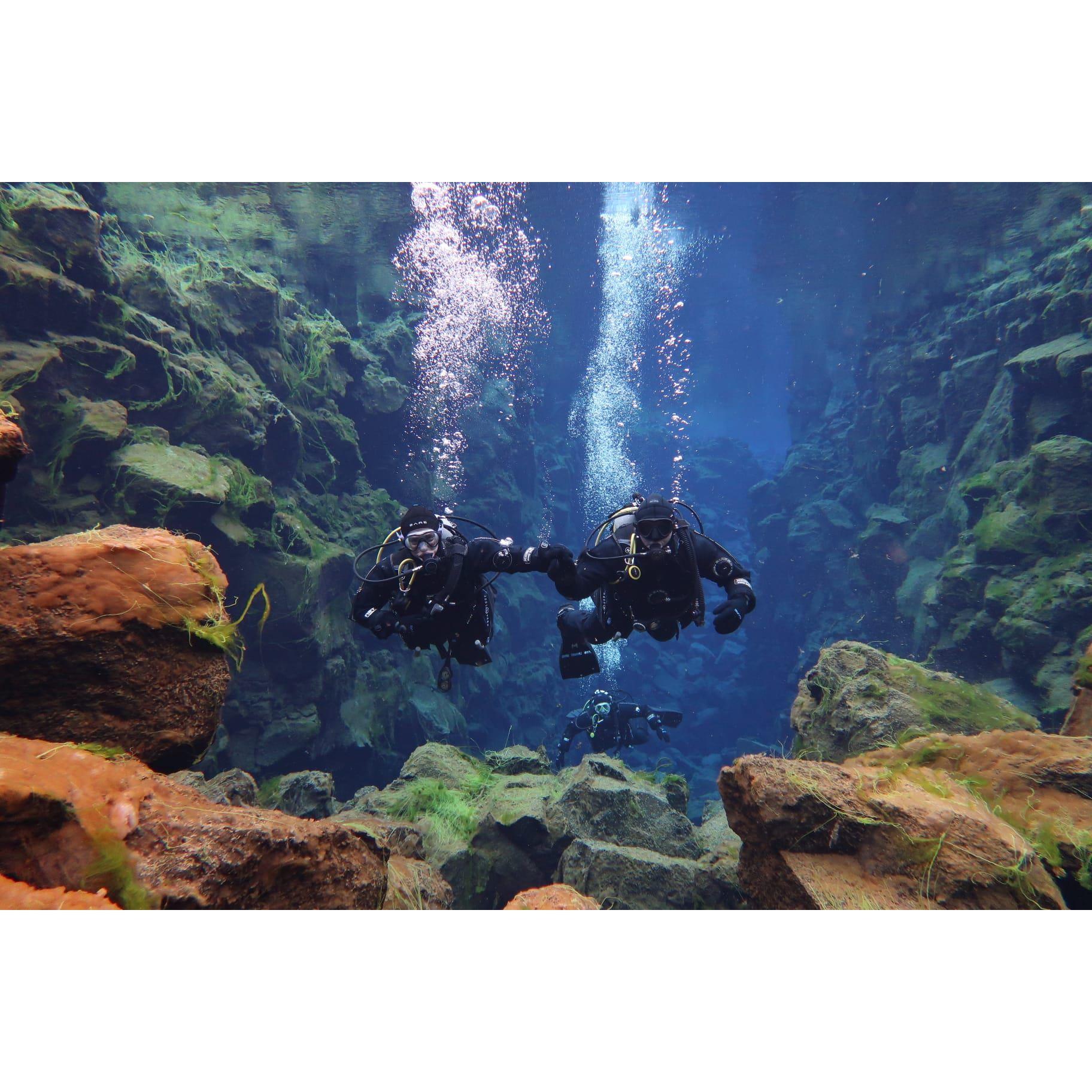 This is the only picture I have of us diving. 

We dove Silfra in Iceland - 34 degree water temps. It has been on Core'y bucket list for years. I am a great dive buddy and went along.