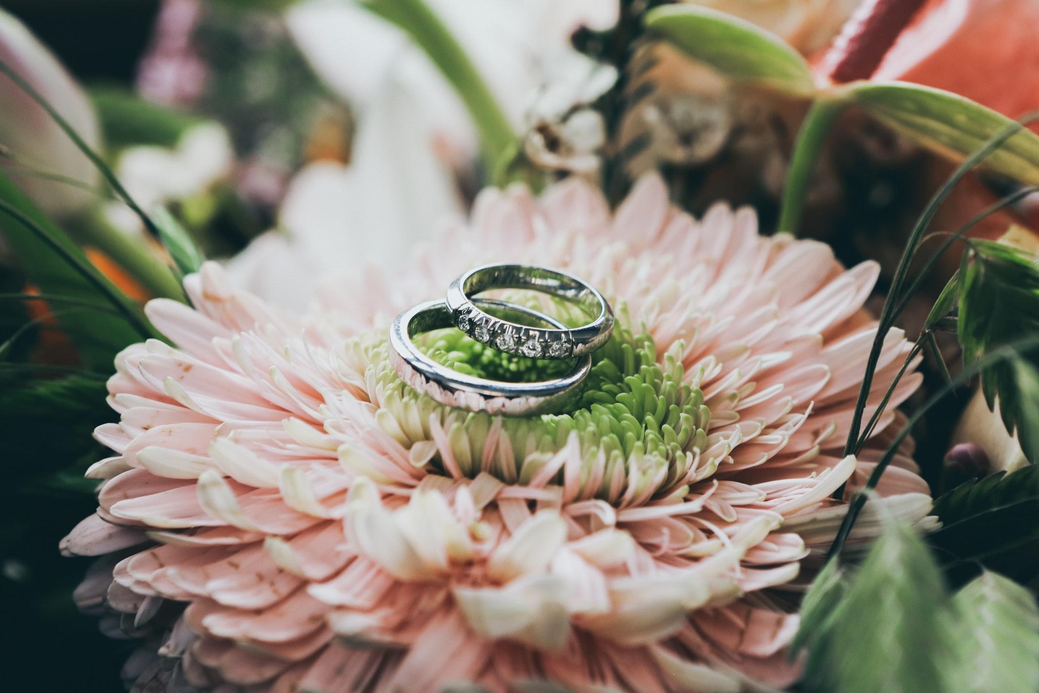 The Wedding Website of Isis Dillard and Ysis Tarter