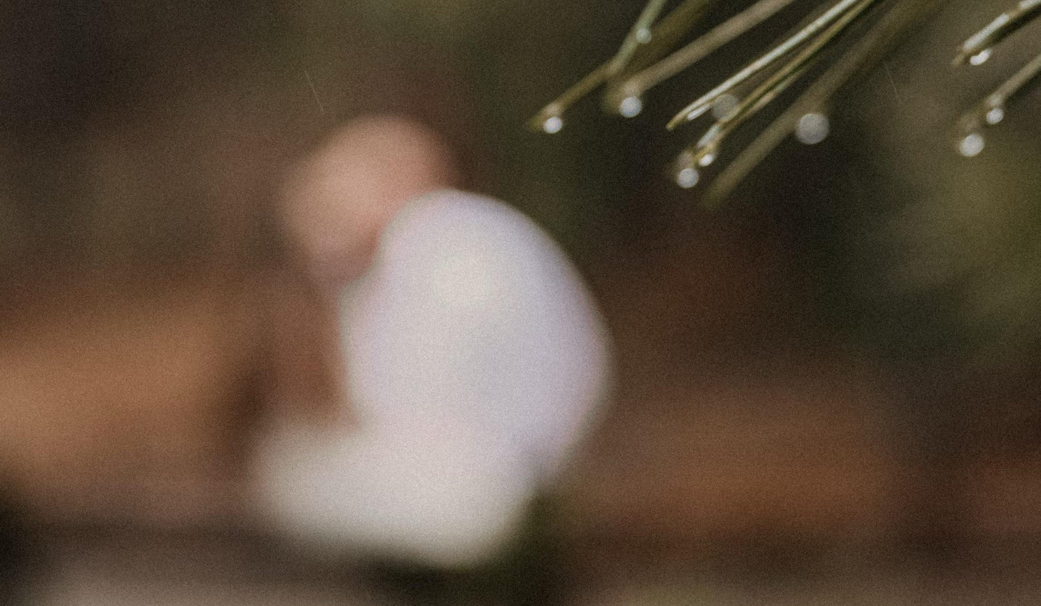 The Wedding Website of Dylan Kinser and Colleen Sloan