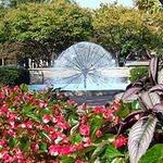 Downtown Naperville