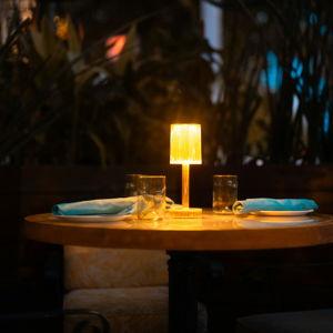 Dinner on Our Honeymoon