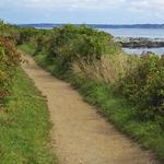 Sachuest Point
