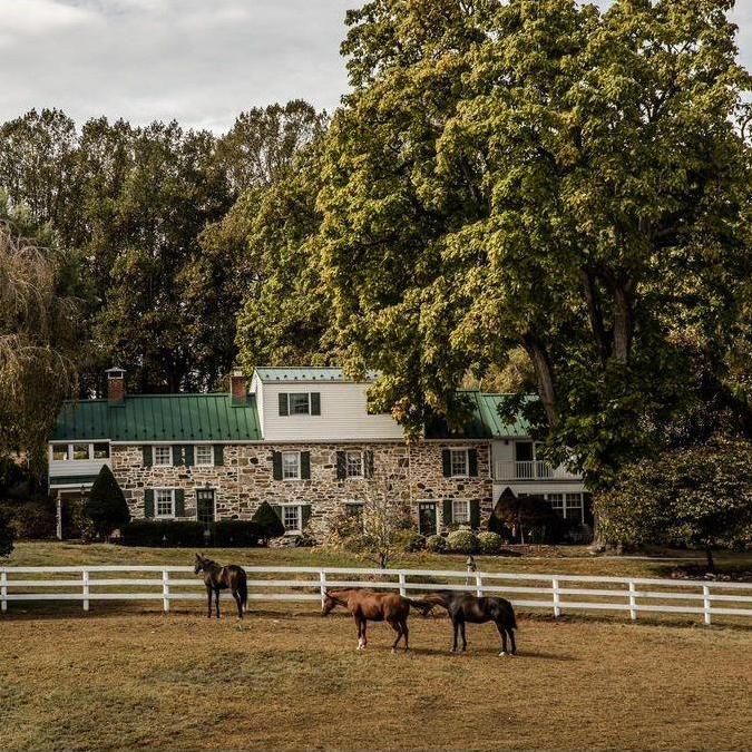 Wedding Venue! The front yard!