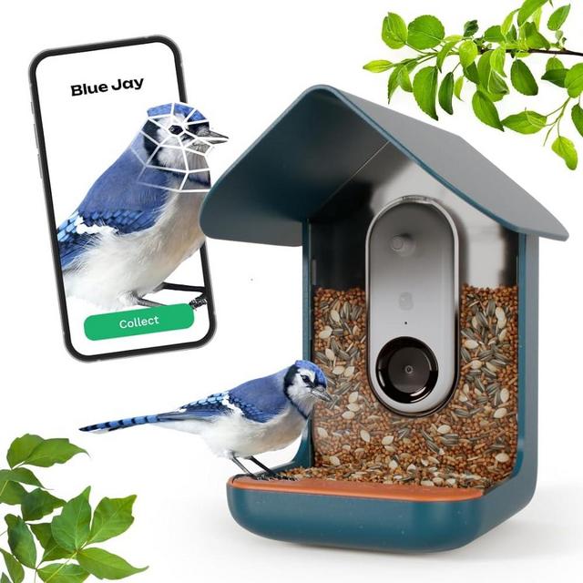 BIRD BUDDY® Smart Bird Feeder with HD Camera for Beautiful Close-ups and Unique Bird Watching
