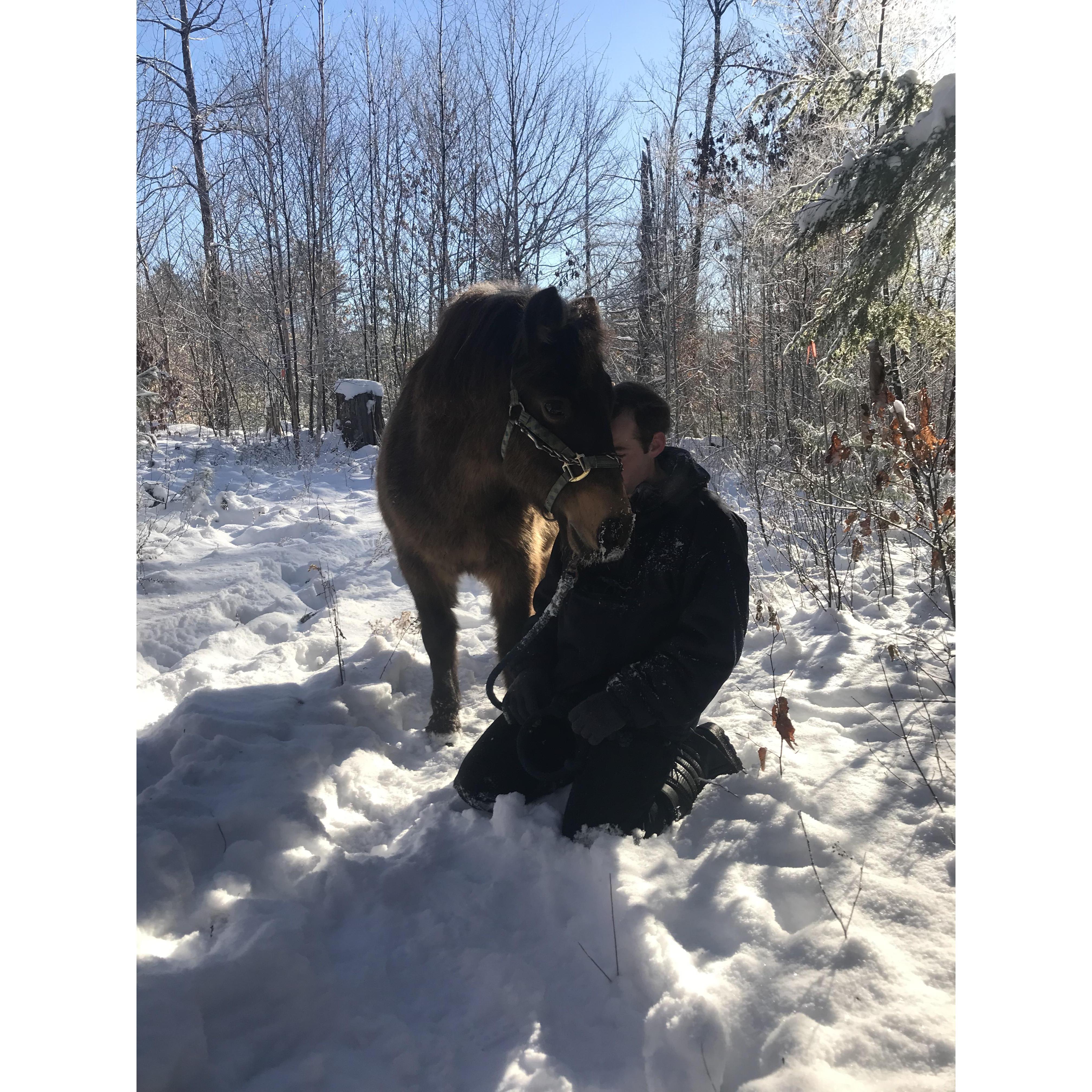 Hiking with horses became a new activity.