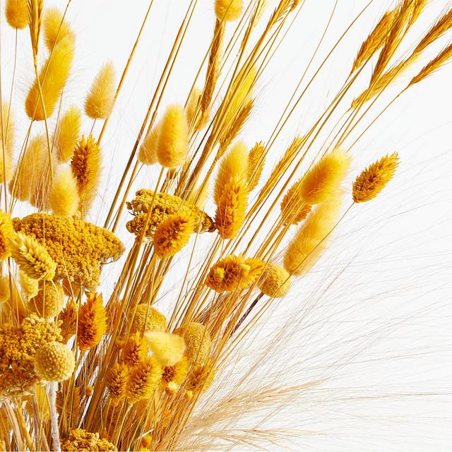 Golden Bunny Tail and Yarrow Dried Bouquet 30"