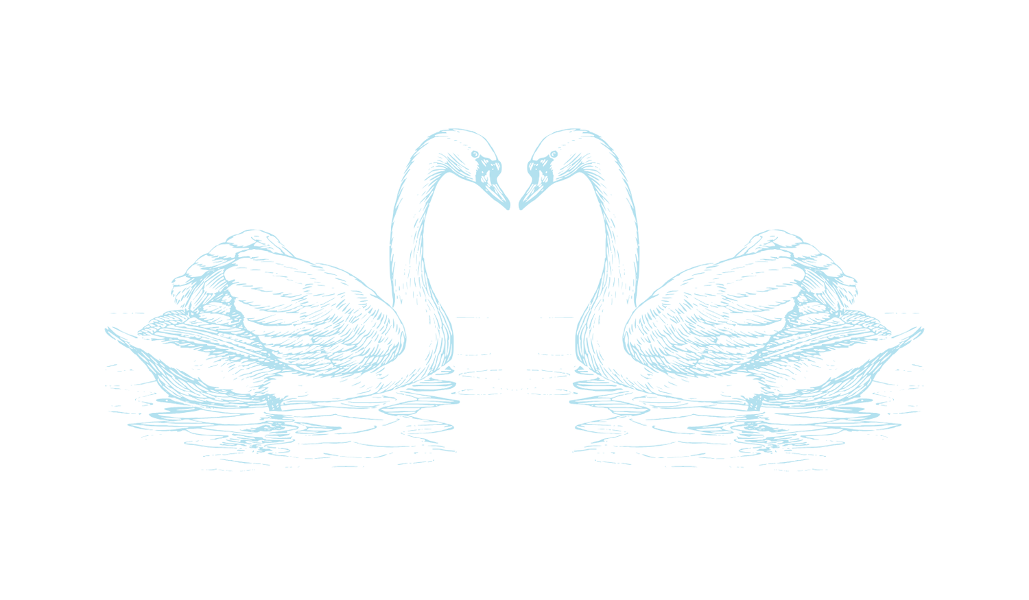 Footer image