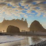 Olympic National Park