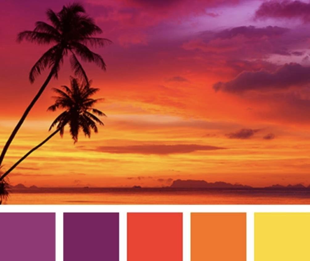 The Wedding Website of Payten Sachs and Jackson Trester