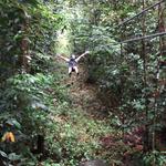 Rainforest Adventures St. Lucia