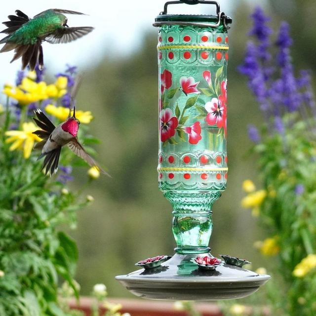 Antique Hummingbird Feeder - Glass Vintage Bird Feeder - Best Hummingbird Feeder - Chain Included - Ships Free - Mother's Day Gift