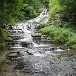 Huyck Nature Preserve