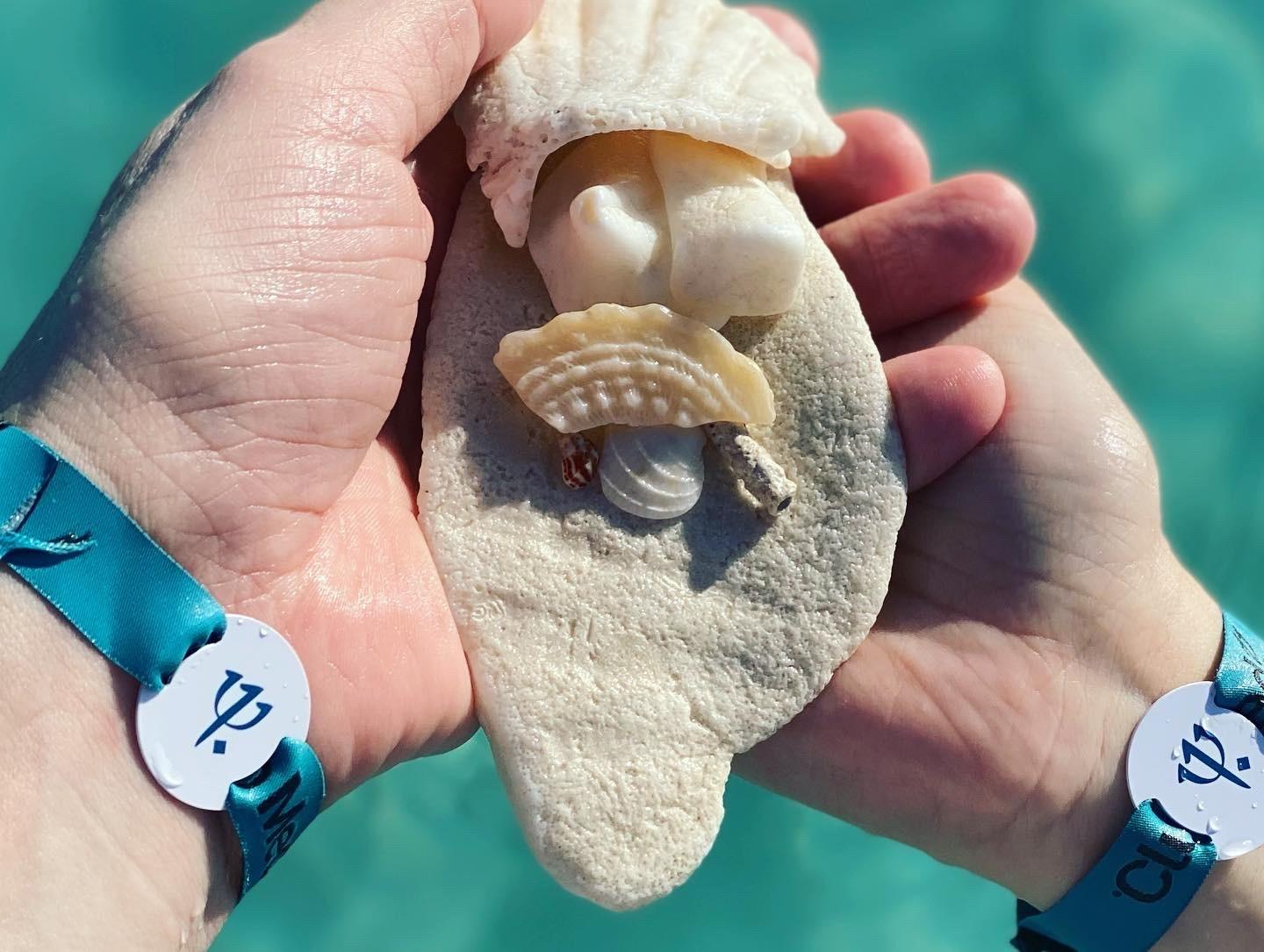 The Wedding Website of Debbie Ten and Erik Gustafsson