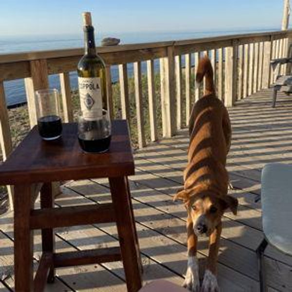 Wine Tasting For Two