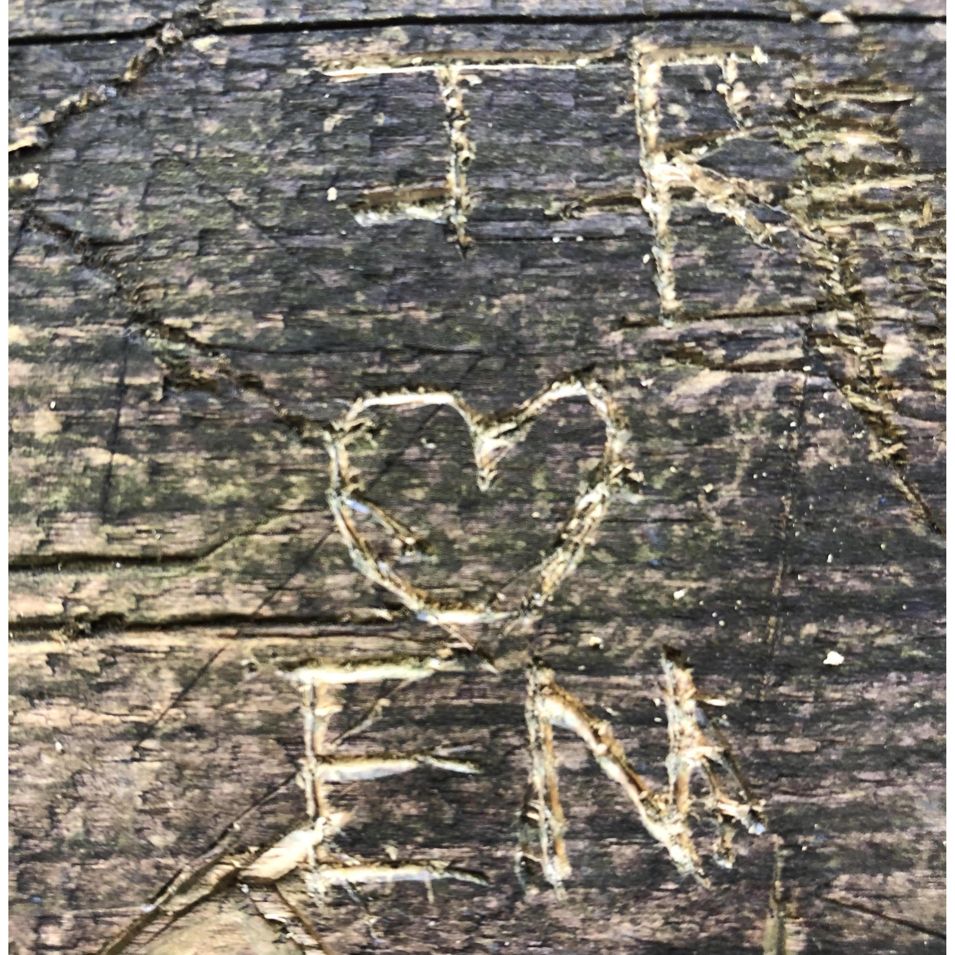 In Tallulah Falls after our first road trip together Joe carved our initials on the bridge overlooking the gorge.
