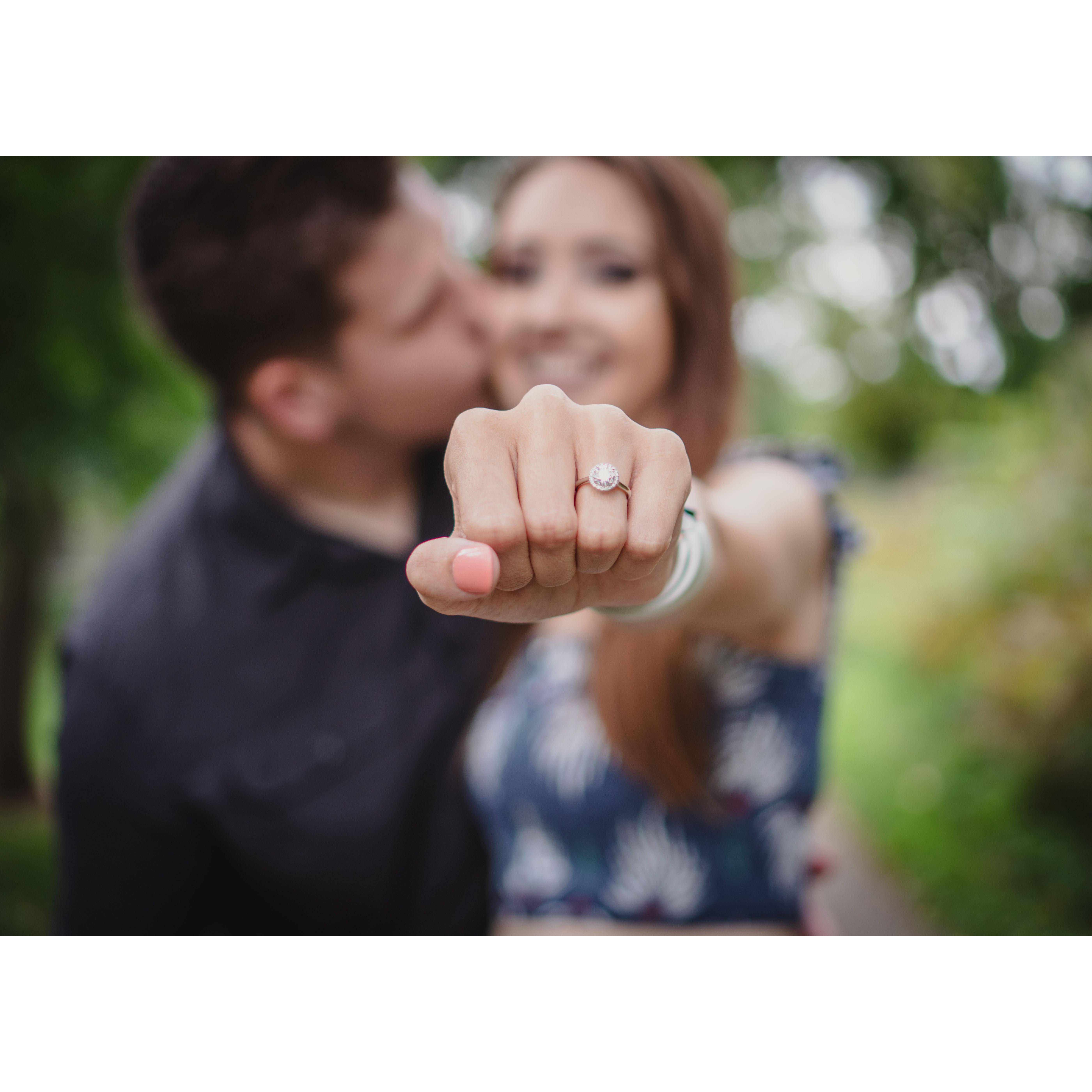 Engagement Photos in Settlers Park (Mequon/Thiensville, WI)