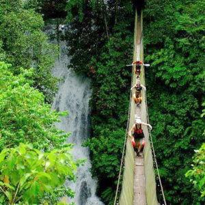 Honeymoon: 2 Rainmaker Rainforest Park Passes