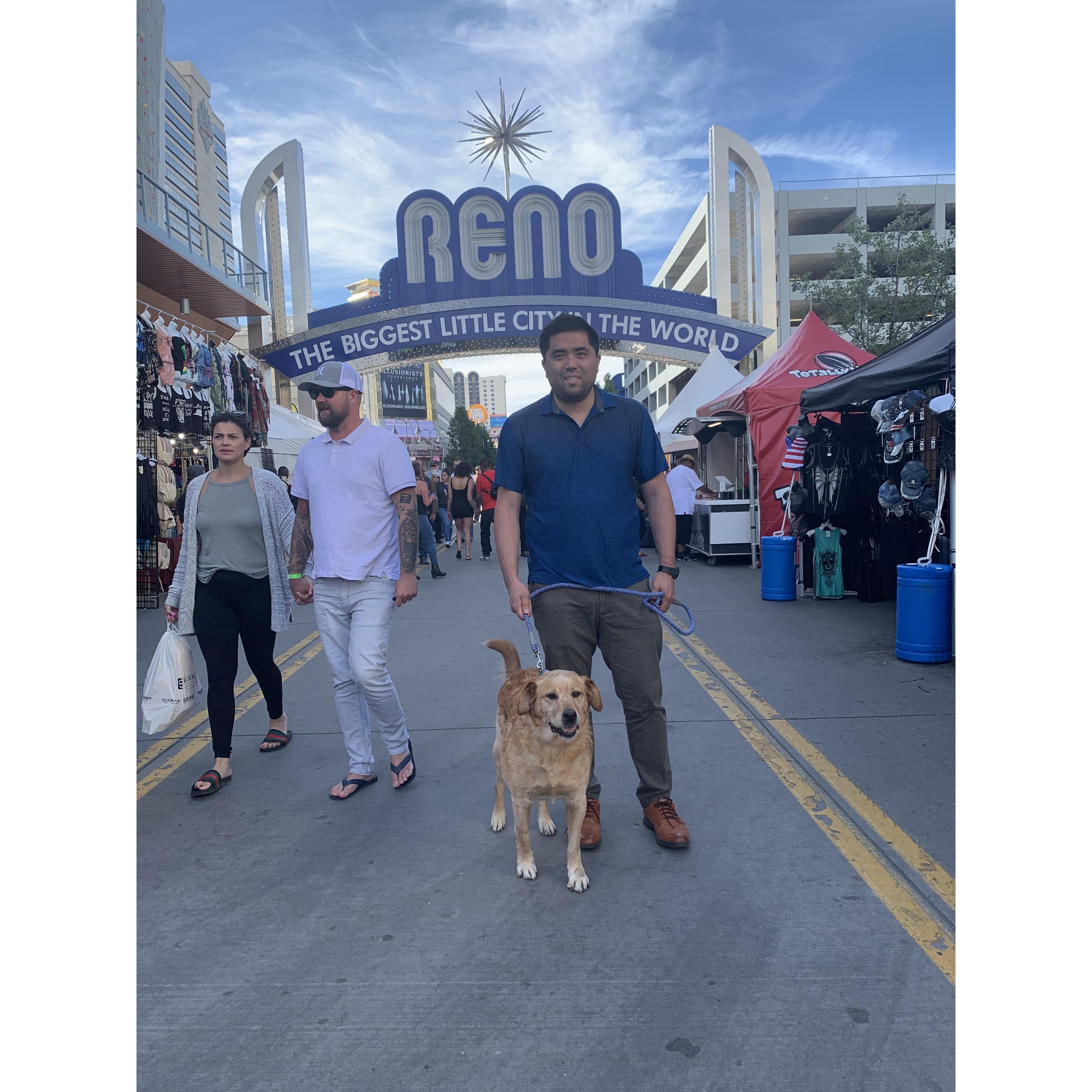 Road trip with Copper to his forever home in Vegas
