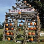 Stone Ridge Orchard