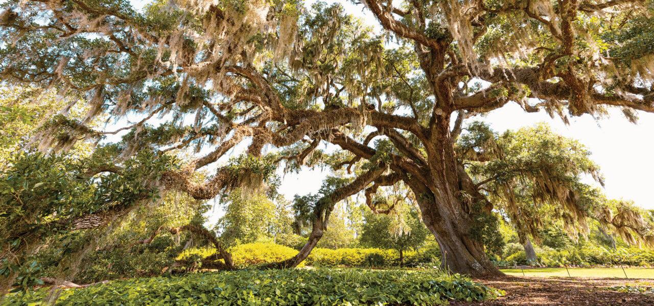 The Wedding Website of Amanda Church and Devin Kerrigan