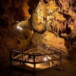 Natural Bridge Caverns Road