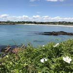 Cliff Walk