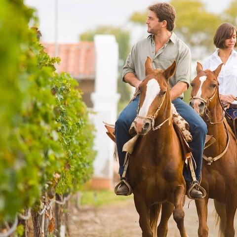 Horseback Riding On Our Honeymoon