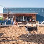 Yard Bar