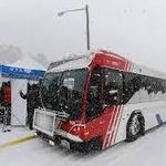Alta & Snowbird Ski Shuttle