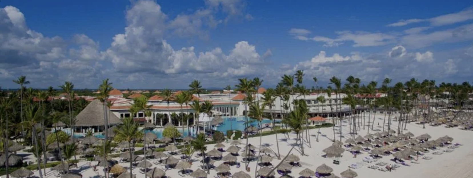 The Wedding Website of Andy Martinez and Katharine Pichardo