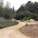 California Botanic Garden