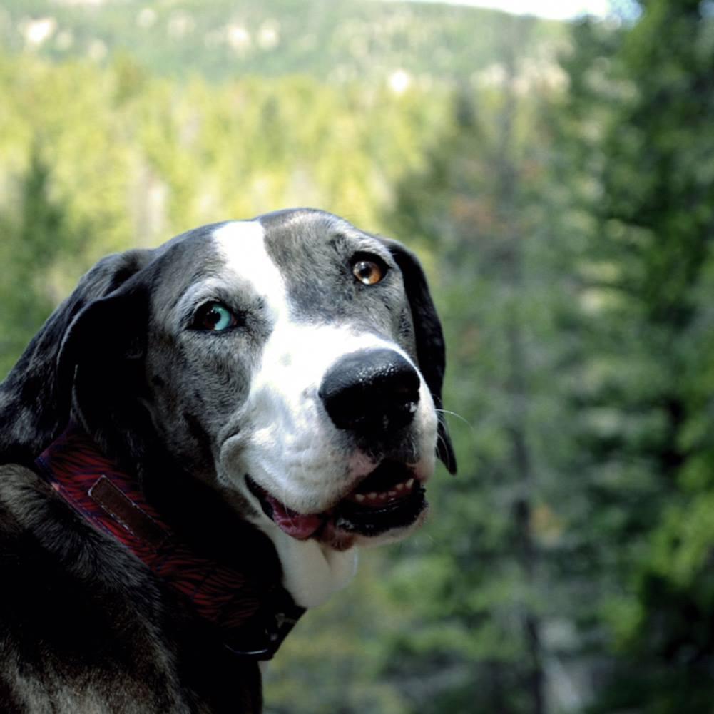 Hiking in CO
