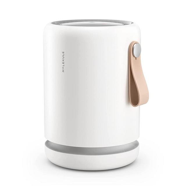 Molekule Air Mini+, Air Purifier for Small Home Rooms up to 250 sq. ft. with PECO-HEPA Tri-Power Filter for Smoke, Mold, Dust, Bacteria & Other Pollutants for Clean Air - White, Compatible with Alexa