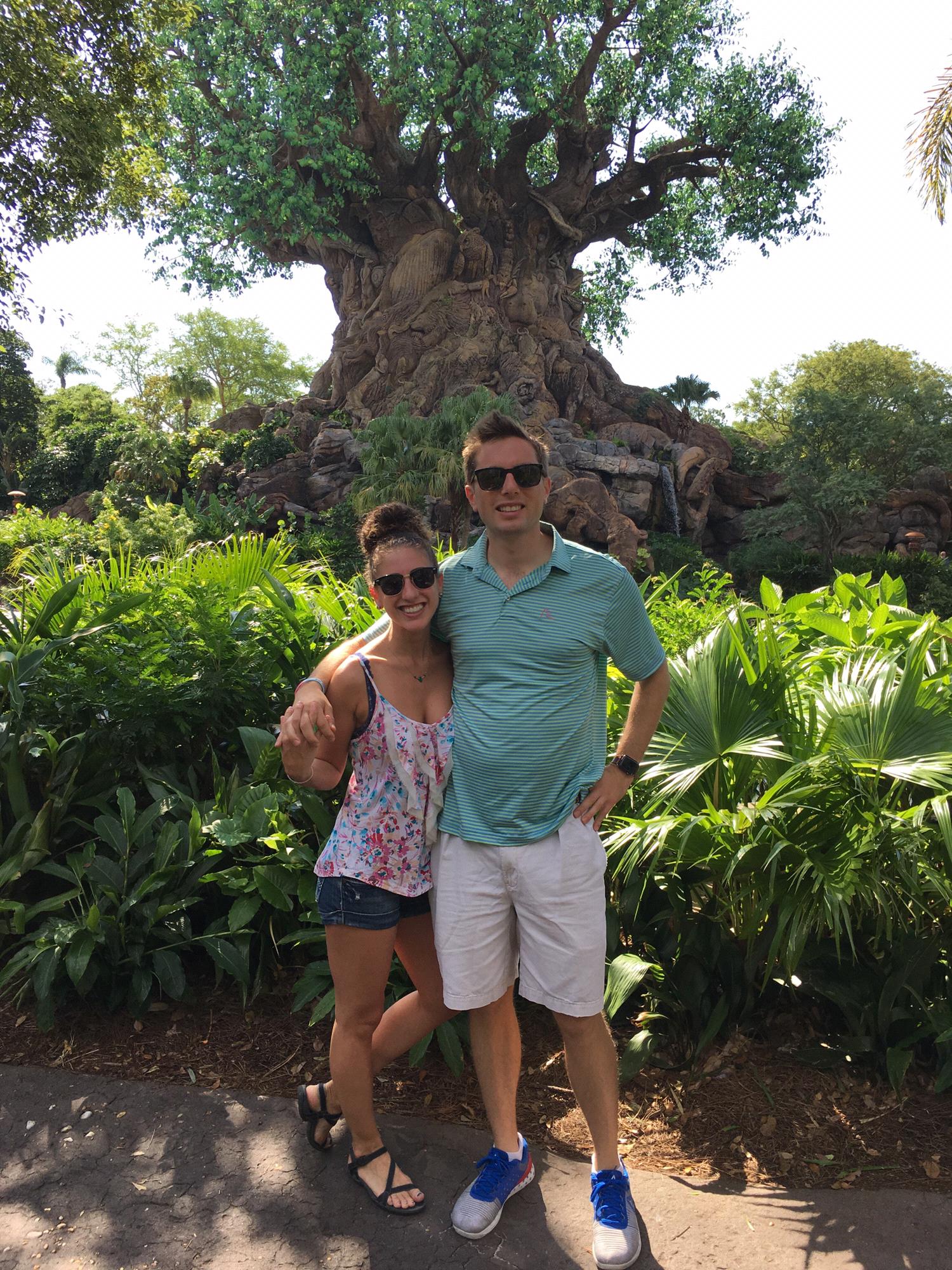 Animal Kingdom!