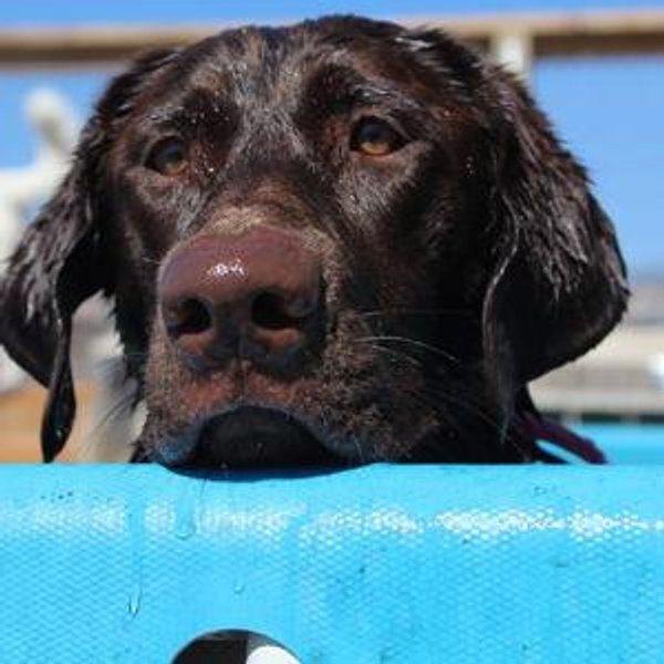 Boarding For Kona During Our Honeymoon