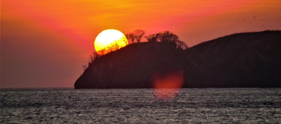 The Wedding Website of Michaela Duncan and Sebastian Cantellops