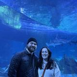Georgia Aquarium