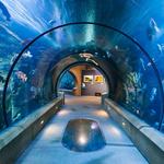 Oregon Coast Aquarium