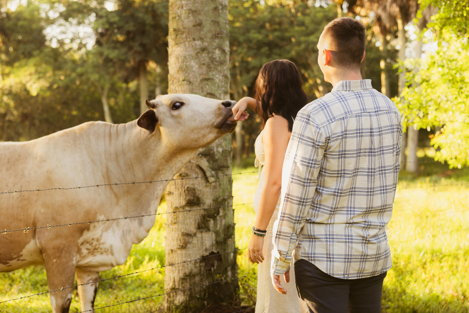 The Wedding Website of Jaylin Behovitz and Tanner Gidley