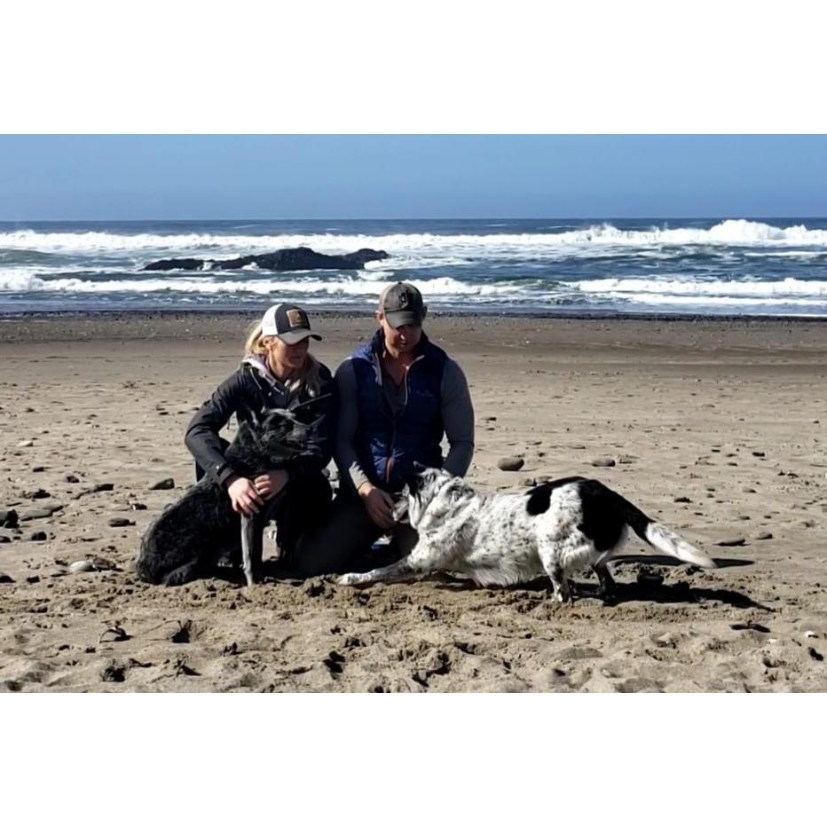 Trying to take pictures at the beach with a border collie is impossible.