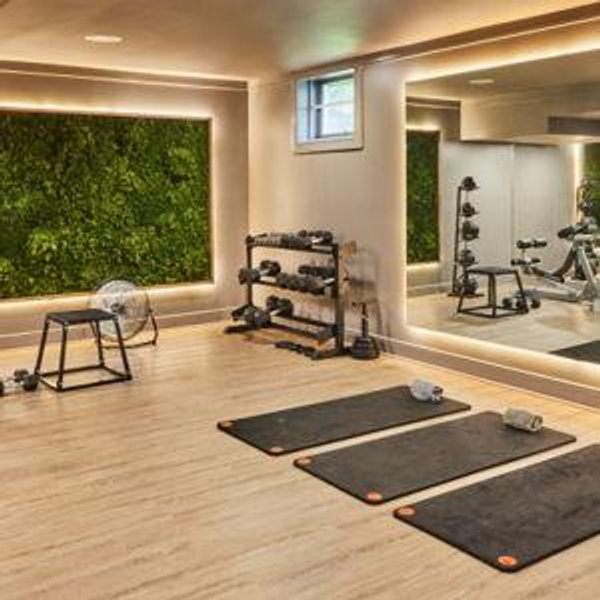 Our Home Gym