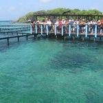 Visit - Visitar - Oceanario