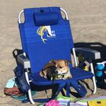 Santa Monica State Beach