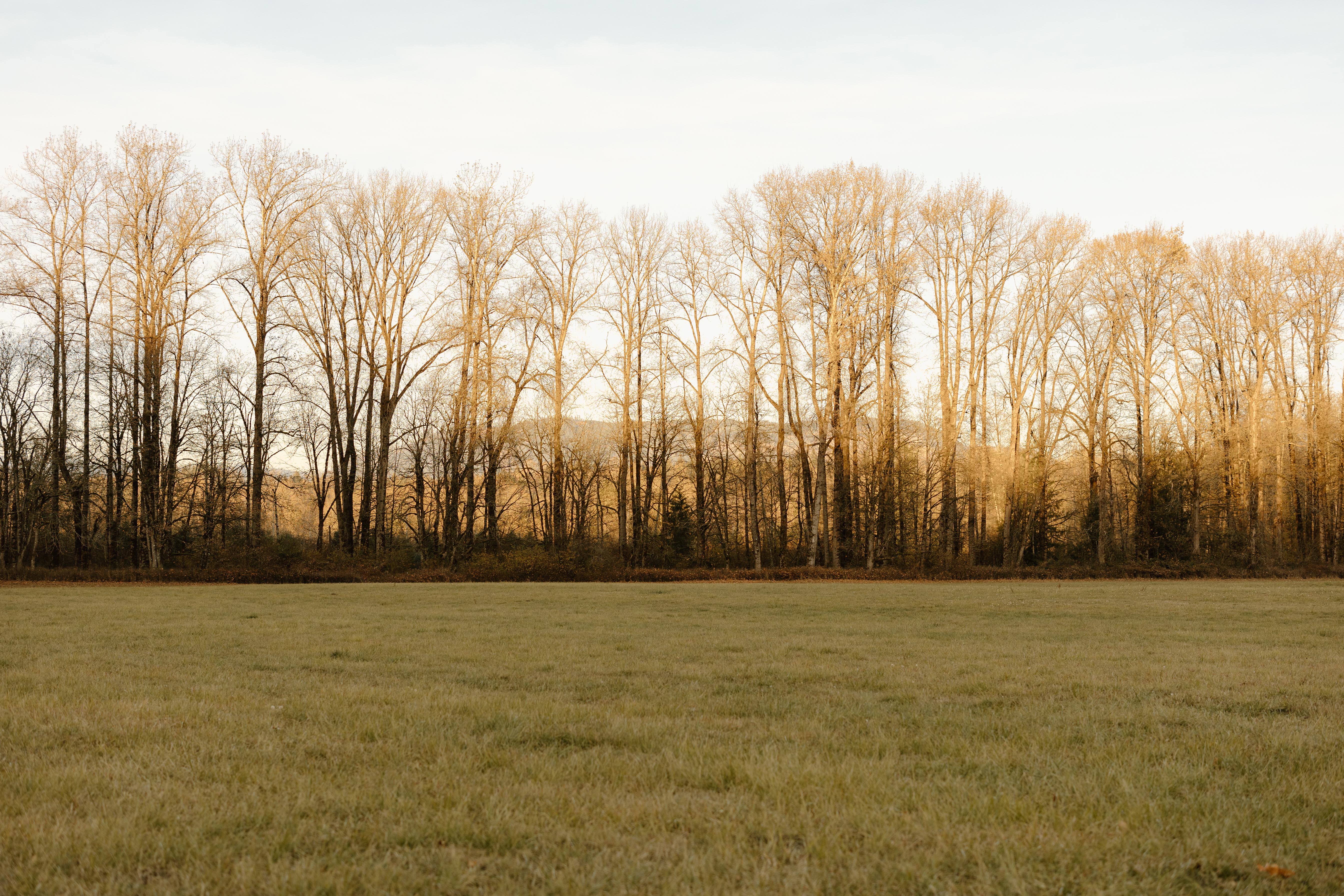 The Wedding Website of Jessica Brockway and Zack Macdonald