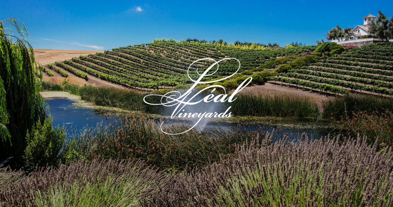 The Wedding Website of Michellehelena Francisco and Cody Austin Wallace