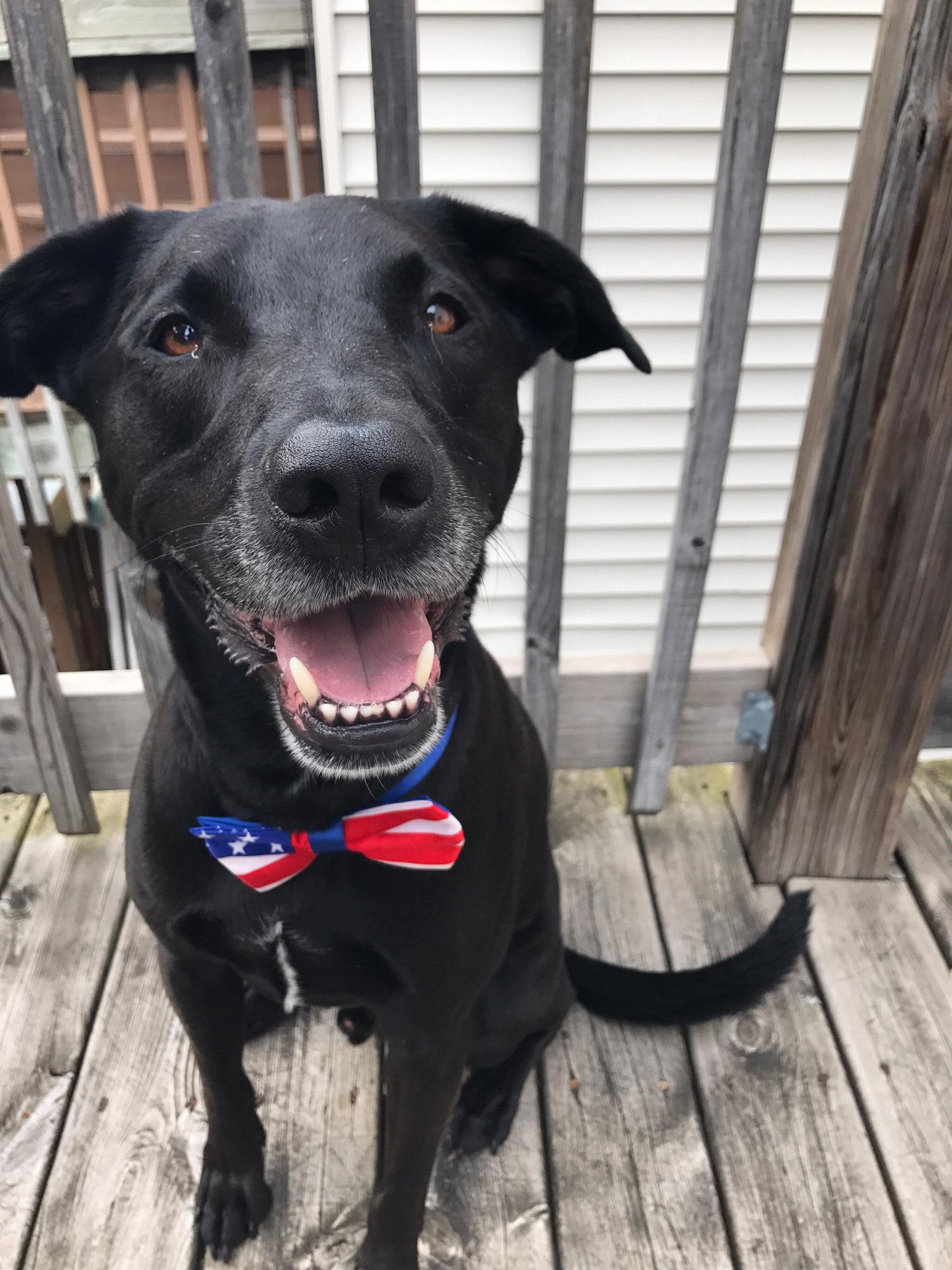 Chauncey