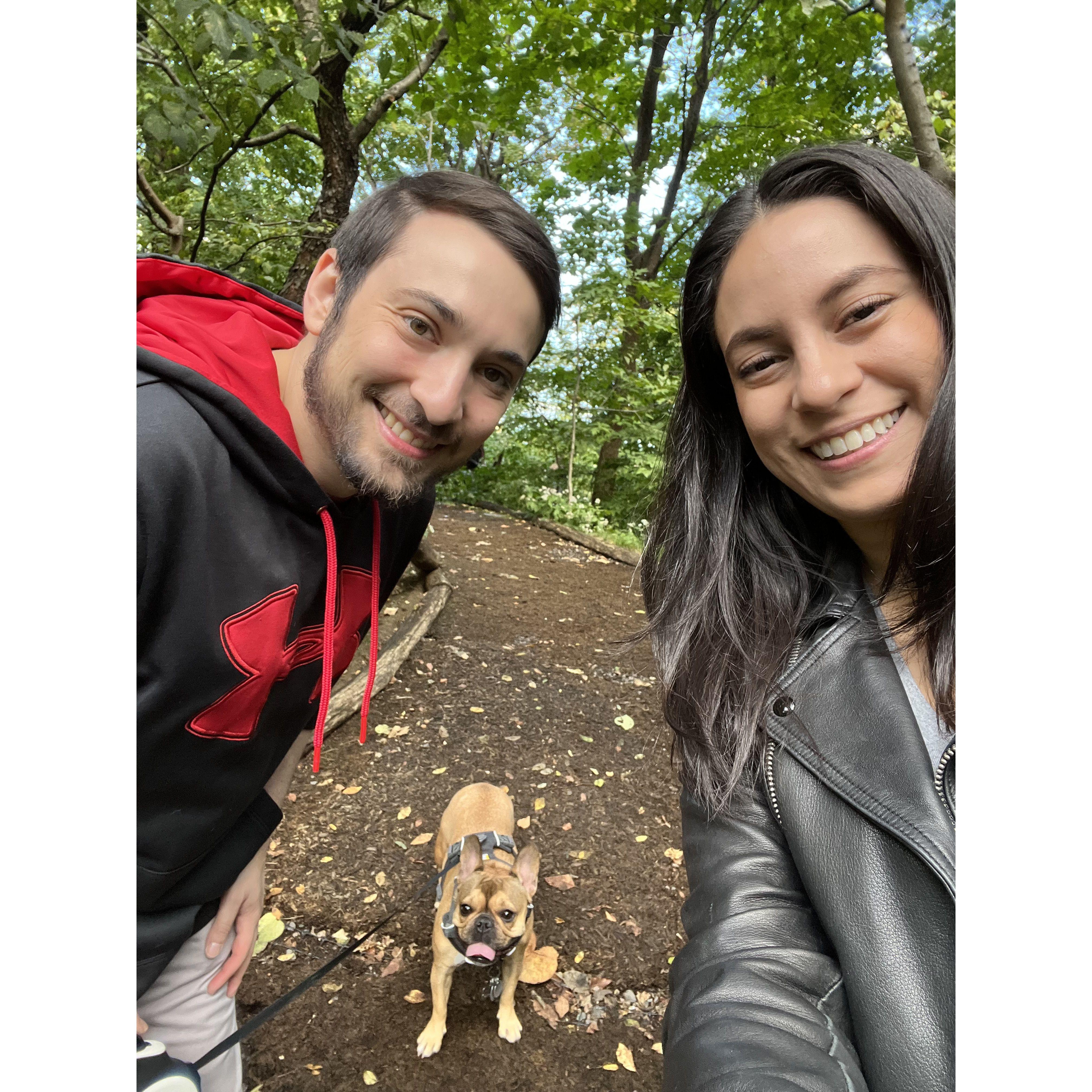 Fall day in Central Park