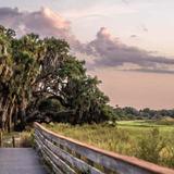 Myakka River State Park